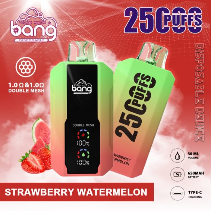 2024 best bang vape 25000 puffs disposable vape