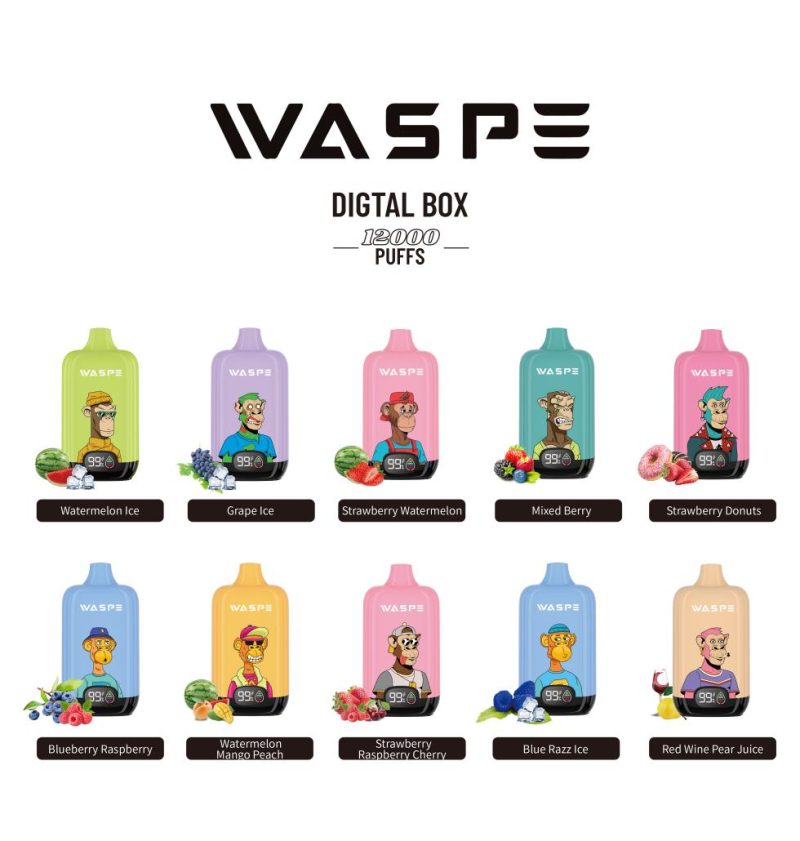 WASPE 12000 PUFFS Scatola digitale Vape usa e getta