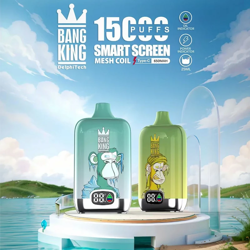 Bang King 15000 Smartscreen Vaporizer met realtime batterijweergave en navulbaar ejuice systeem | 12 smaken & Type-C opladen