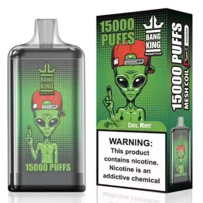 Bang King 15000 Wegwerp vape kit met oplaadkabel en gebruikershandleiding-Cool Mint