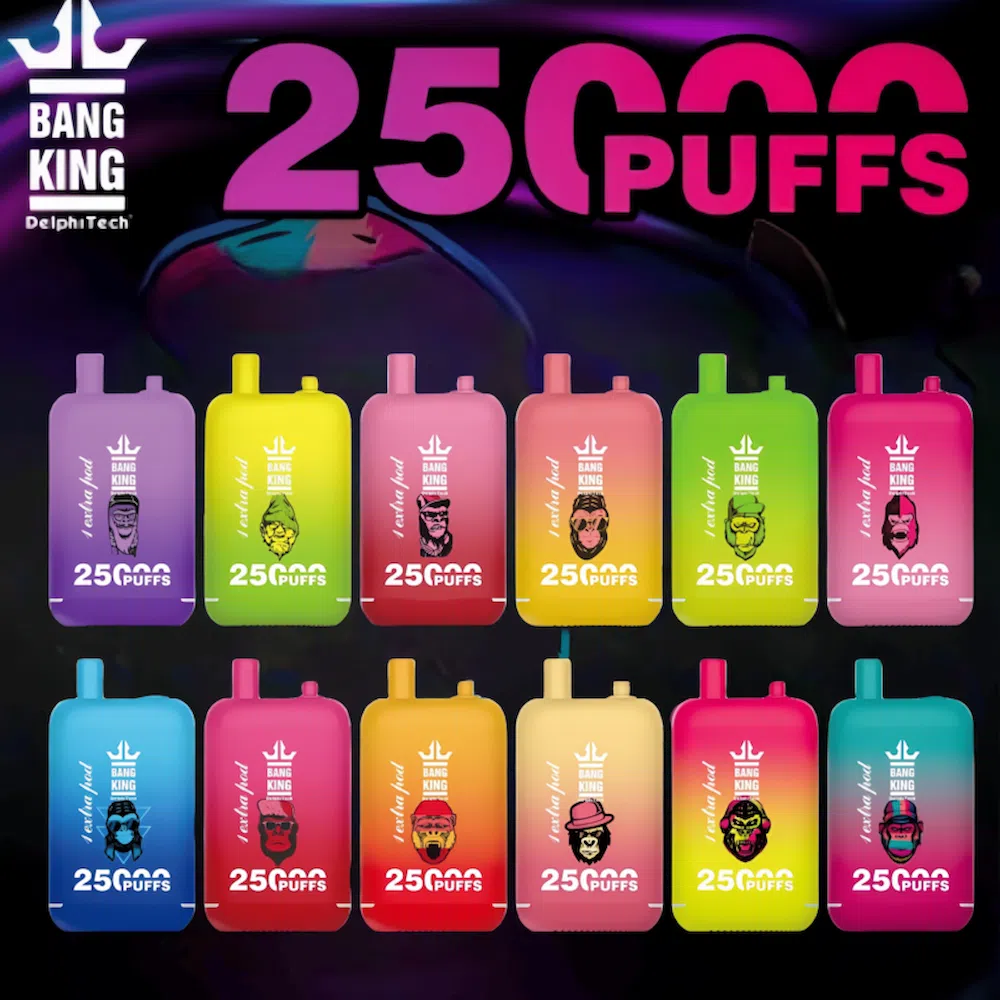 Bang King 25000 disposable vape with dual pods, 46ml e-liquid, and 650mAh USB-C rechargeable battery