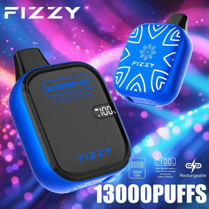 FIZZY Boom 13000 Flavor Series: Blueberry Ice Best Fruit Flavors Disposable Vape