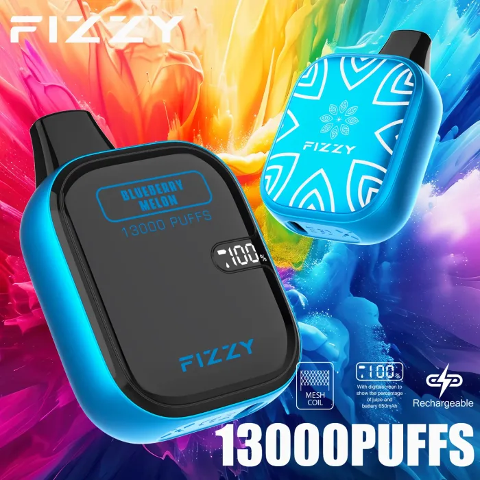 FIZZY Boom 13000 Flavor Series: Blueberry Melon Best Fruit Flavors Disposable Vape