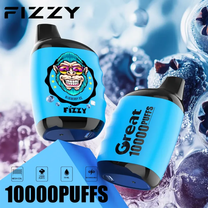 Fizzy Great 10000 Geschmacksserie: Blueberry Ice Beste Aromen für Ex-Raucher